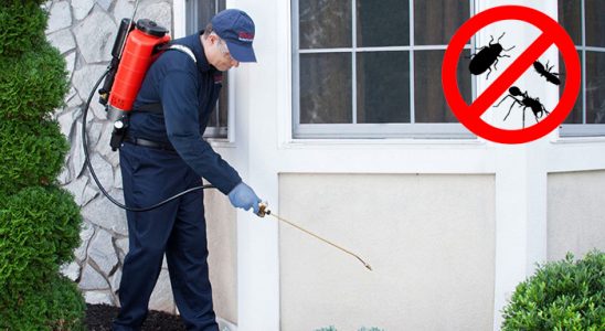 Payas Böcek İlaçlama böcek ilaçlama ve haşere kontrolü — ilaclama-tr.com